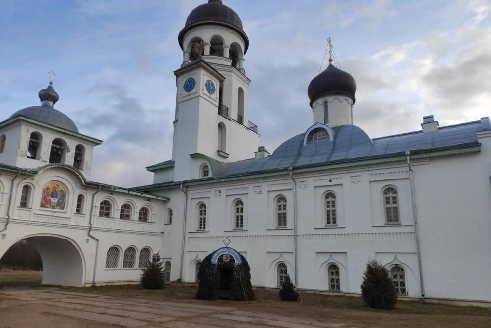 Мужчину без гражданства накажут за избиение в Крыпецком монастыре