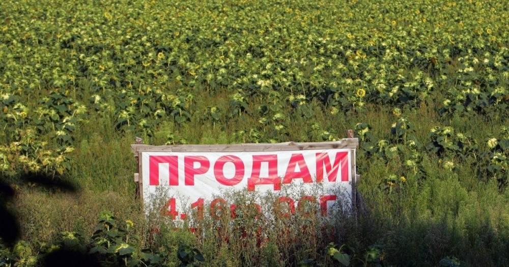 Рынок земли в Украине. Кто и как сможет продавать и покупать гектары с 1 июля