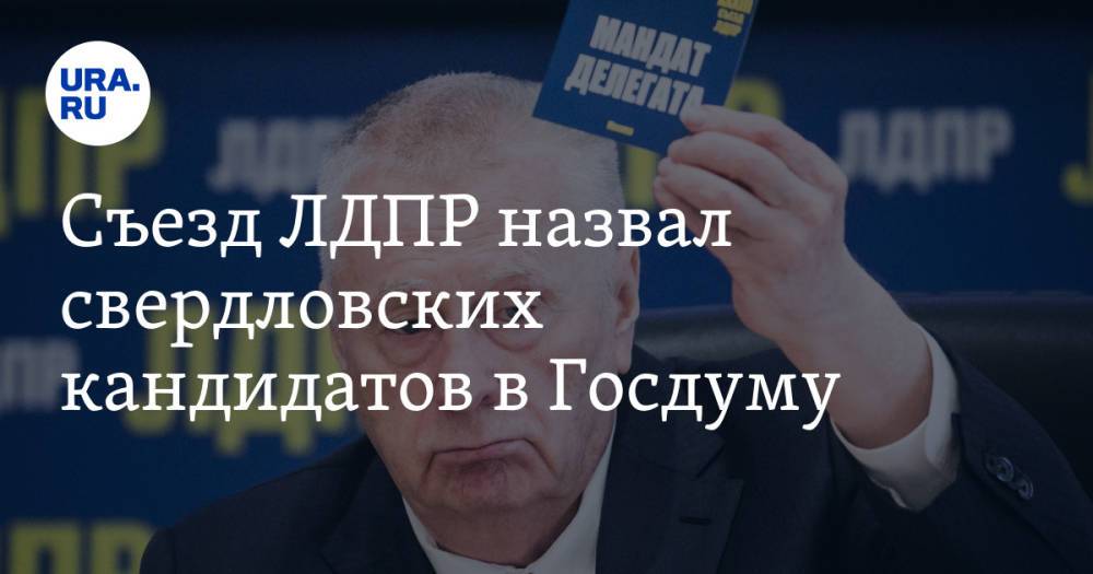 Съезд ЛДПР назвал свердловских кандидатов в Госдуму