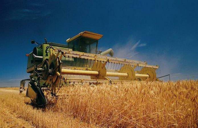 В Одесской области планируют оперативно обмолотить ранние зерновые