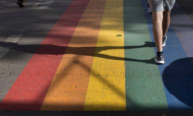 Решения президента Литвы по письму общин ЛГБТ в ЕС вызвало шквал критики правящих