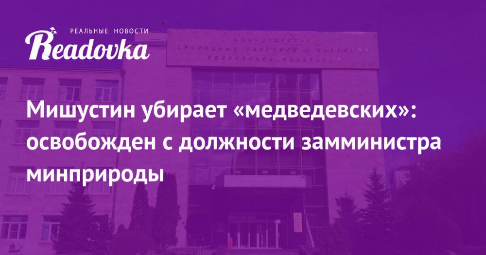 Мишустин убирает «медведевских»: освобожден с должности замминистра минприроды