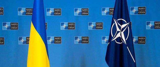 Посол Германии: Вопрос вступления Украины в НАТО — политический, нужно ждать «окно возможностей»