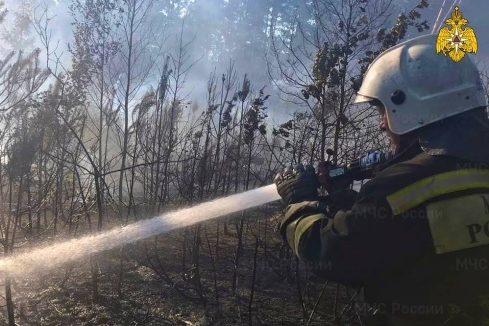 Между двух деревень в Тверской области начался пожар в лесу