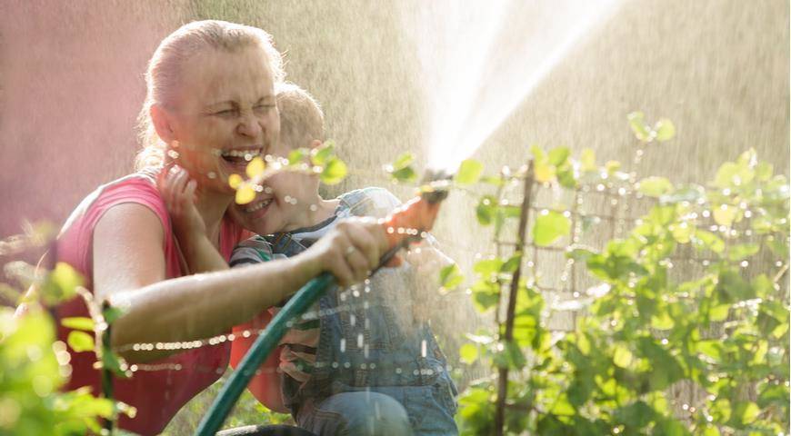 Как правильно поливать в жару? Советы Ирины БОЧКОВОЙ