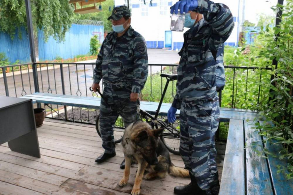 Собака-полицейский Акбар выступила в ЦВС для несовершеннолетних в Томске