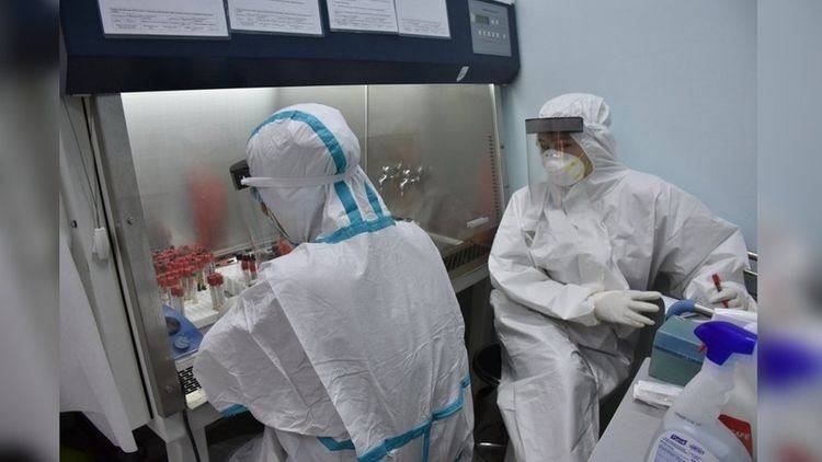 В Узбекистане выявлено еще 493 случая заражения коронавирусом