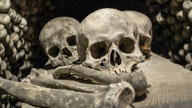 В Китае нашли череп, принадлежащий новому виду Homo sapiens