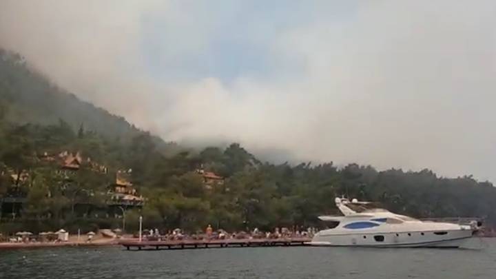 Пламя охватило леса около турецкого курорта, погиб лесничий. Видео