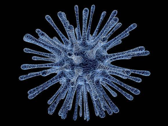 Ученые центра Гамалеи оценили опасность индийского вируса Нипах