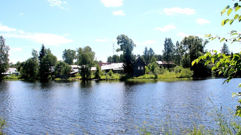 Два мальчика утонули в пруду под Новосибирском