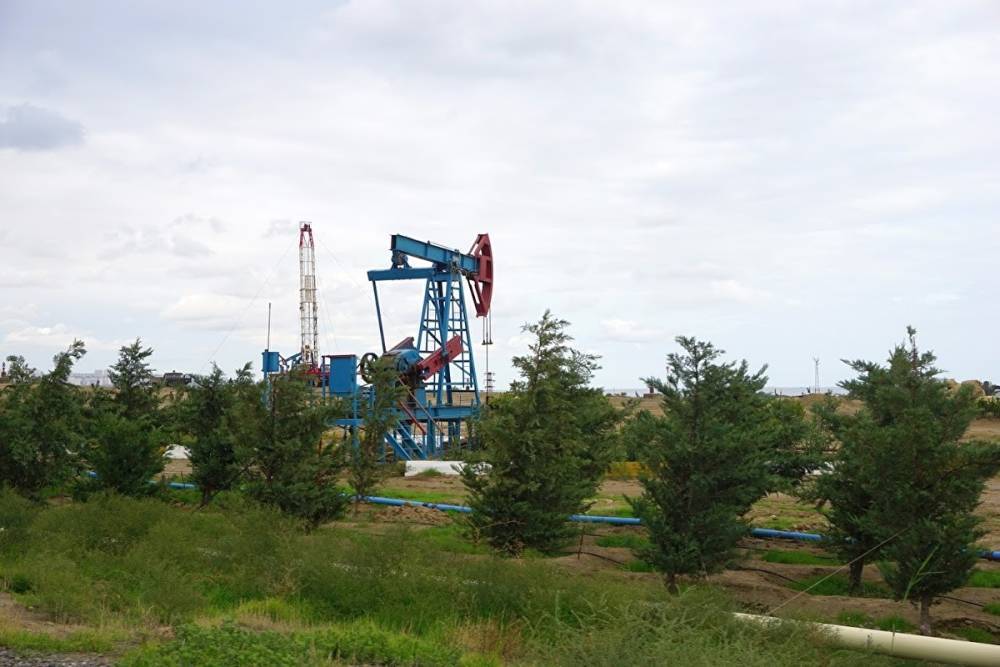 Прокуратура взыскала с «дочки» «Роснефти» ₽800 тыс. за разлитую нефть