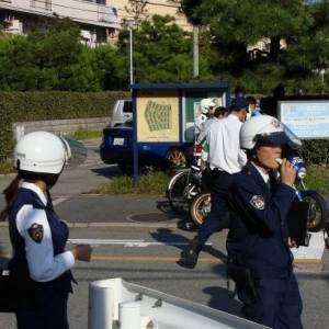 В Японии грузовик протаранил группу детей: есть жертвы