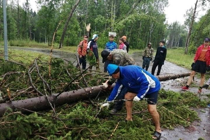 Электроснабжение ещё 484 населенных пунктов восстановлено в Псковской области