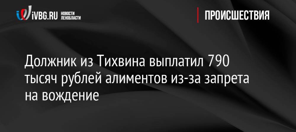 Должник из Тихвина выплатил 790 тысяч рублей алиментов из-за запрета на вождение