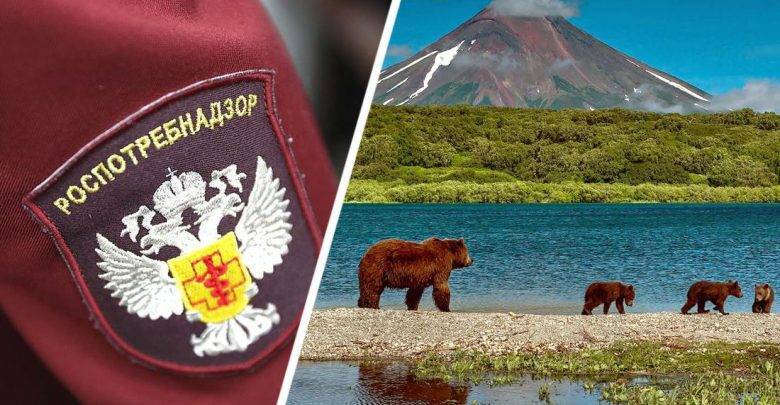 Только привитые российские туристы теперь смогут отправиться на Камчатку