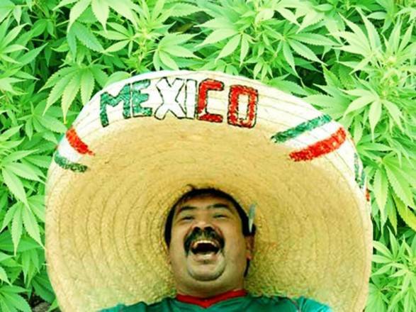 Верховный суд Мексики одобрил использование марихуаны для отдыха