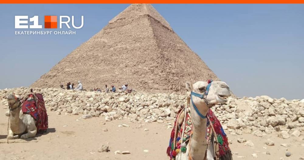 «Это сотни и сотни новых заболевших»: как турагент учила клиента с ковидом обманывать ПЦР-тесты ради поездки в Египет