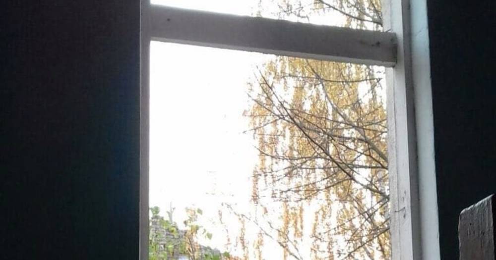 Под Полесском мужчина после ссоры с возлюбленной топором разбил окна в двух домах