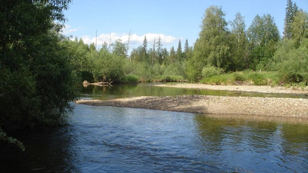 Рыбак пожаловался Путину на «мертвые» реки на севере Свердловской области