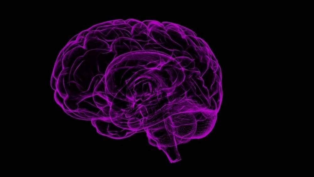 Ученые зафиксировали новый тип сигнала в мозге человека