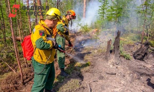 В Тюменской области вновь фиксируется рост лесных пожаров