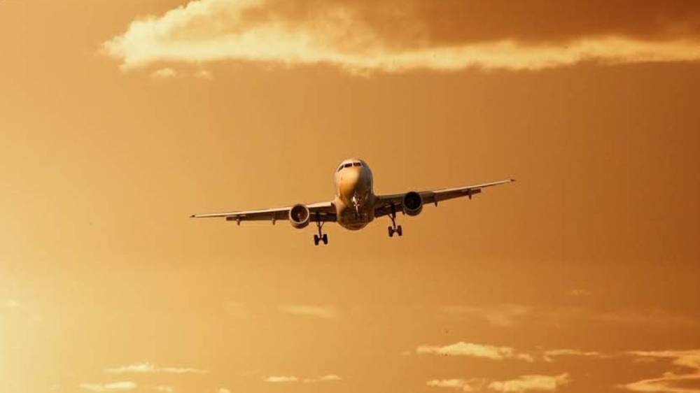 Расследование ICAO о посадке самолета Ryanair в Минске продлено до сентября