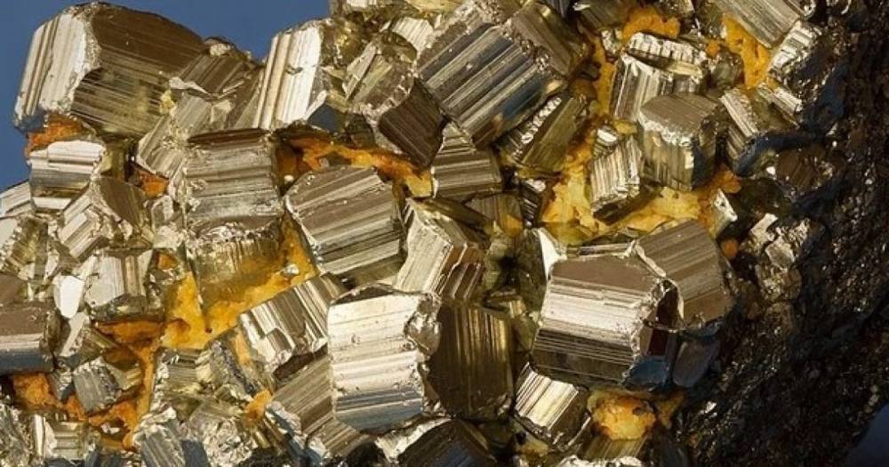 В “золоте дураков” ученые обнаружили вид настоящего золота