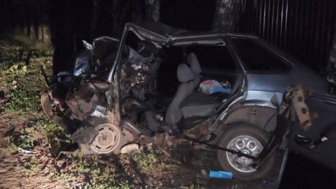 ВАЗ врезался в дерево в Узловском районе – водитель погиб