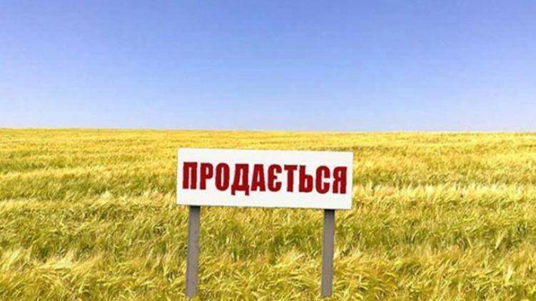 В Киеве заявили, что купленная на Украине россиянами земля будет конфисковаться