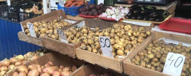 Власти Ростовской области не связывают рост цен на овощи с закрытием рынков