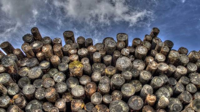 Минпромторг рассказал о рисках создания госкомпании по экспорту леса