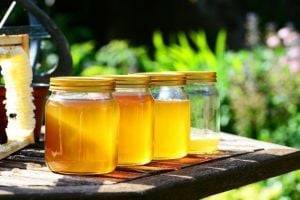 Как отличить натуральный мед от фальшивки: необычные способы