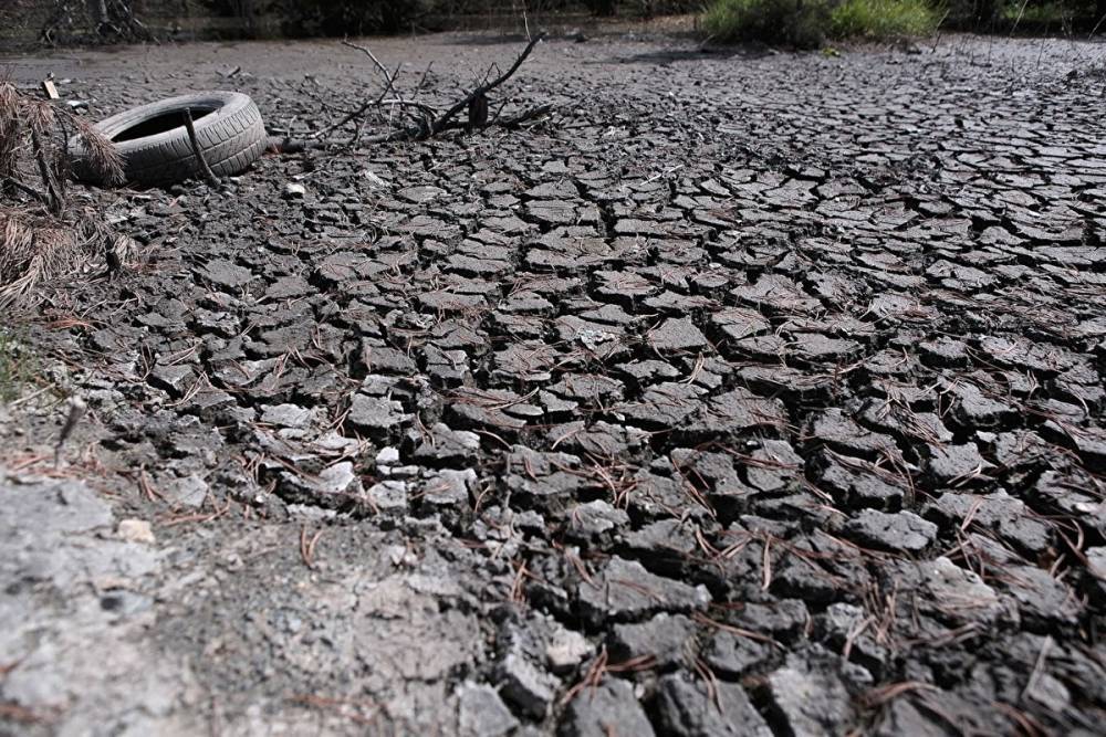Росгидромет: Свердловской, Курганской и Челябинской областям грозит засуха