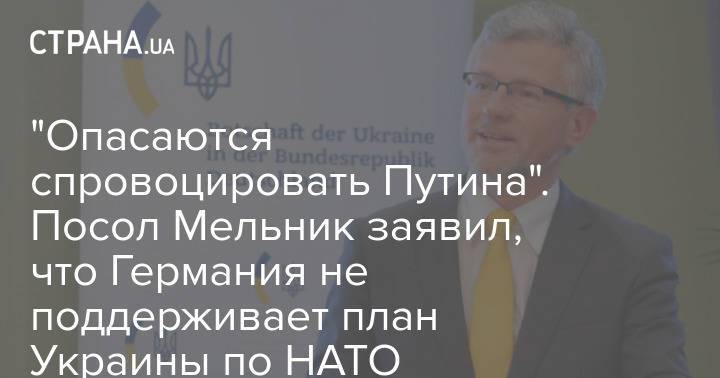 "Опасаются спровоцировать Путина". Посол Мельник заявил, что Германия не поддерживает план Украины по НАТО