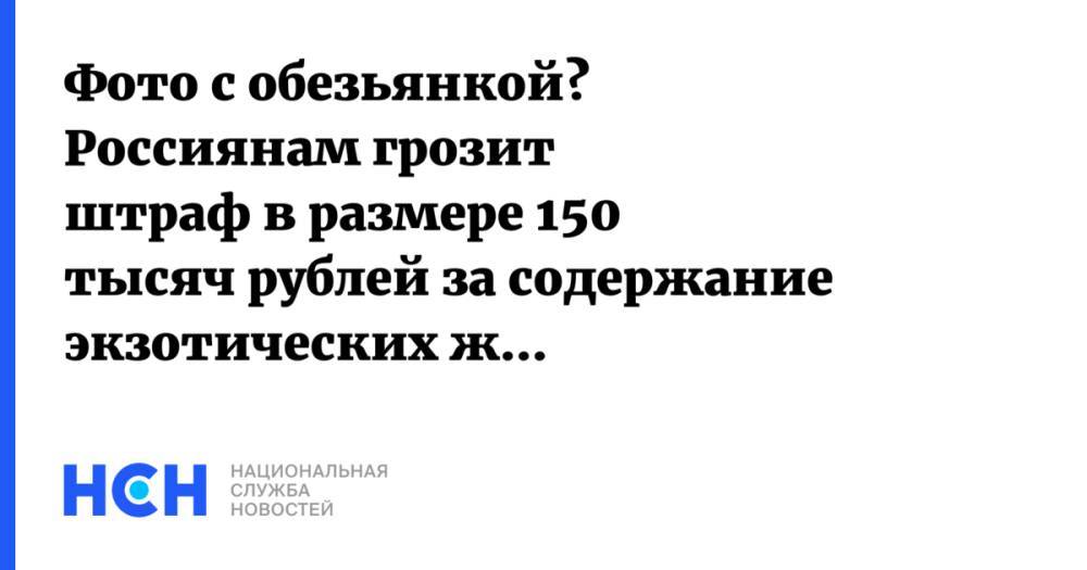 Фото с обезьянкой? Россиянам грозит штраф в размере 150 тысяч рублей за содержание экзотических животных