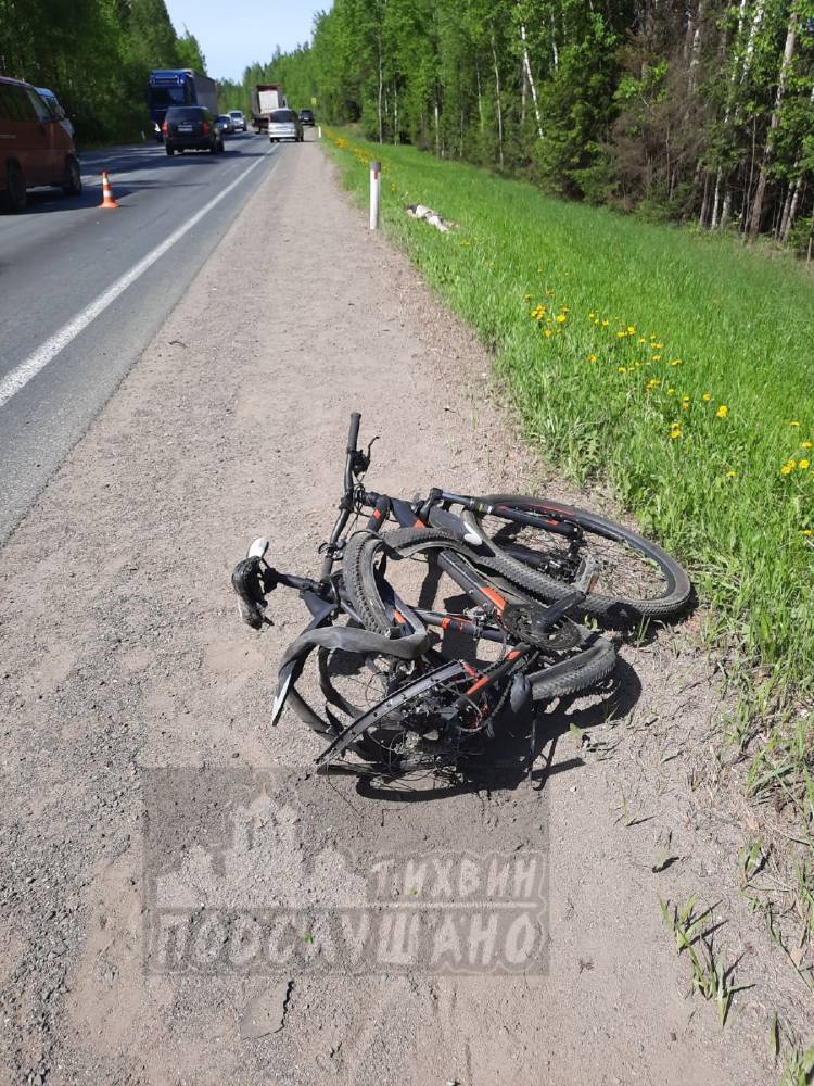 Автомобиль насмерть сбил велосипедиста под Тихвином — очевидцы