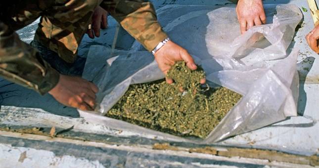 Душанбе и Ташкент объединятся для борьбы с наркотрафиком из Афганистана