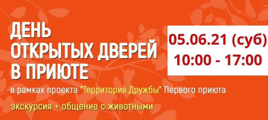 Жителей Петрозаводска приглашают в приют для животных на День открытых дверей