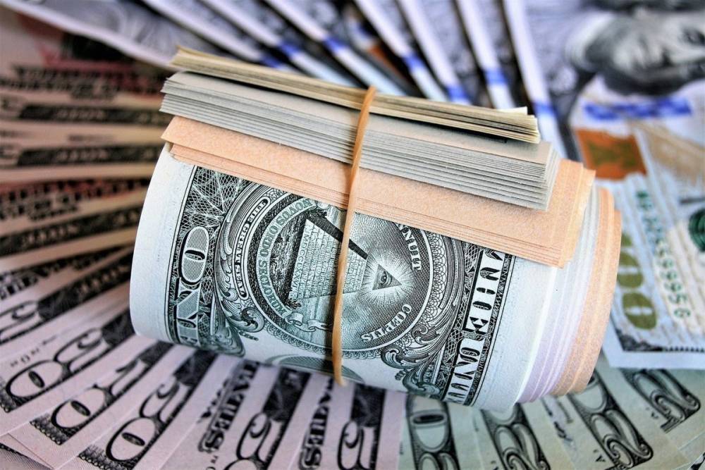 Отказ от доллара в ФНБ вызвал тревогу у видных экономистов