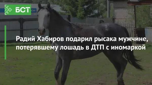 Радий Хабиров подарил рысака мужчине, потерявшему лошадь в ДТП с иномаркой