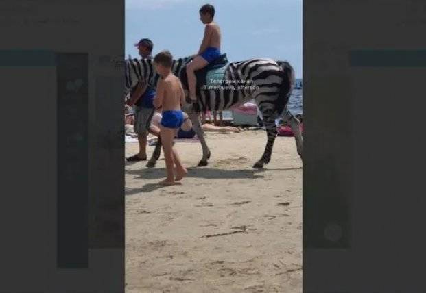 На популярном украинском курорте лошадь покрасили в зебру ради заработка (фото)