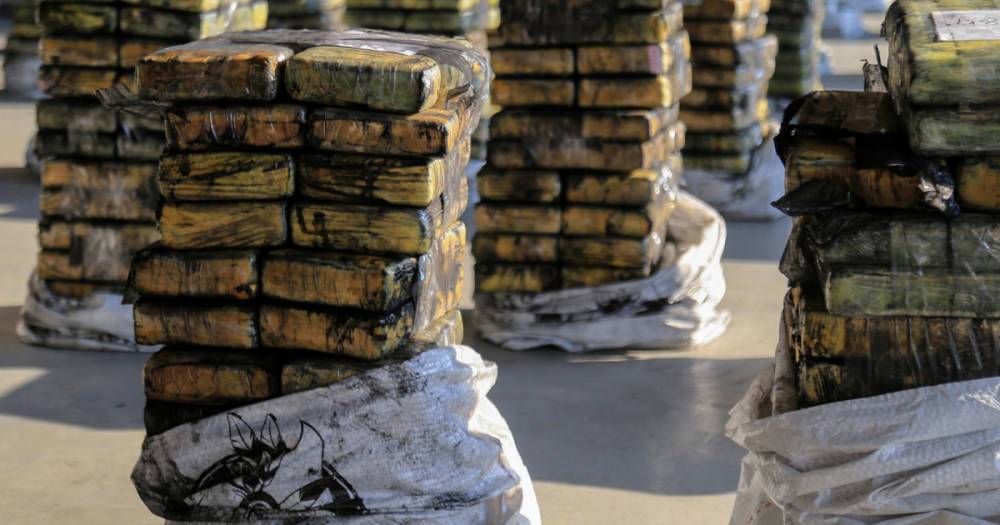 Прибыльное "хозяйство": в Нидерландах на ферме изъяли 3 тонны кокаина и 11,3 млн евро