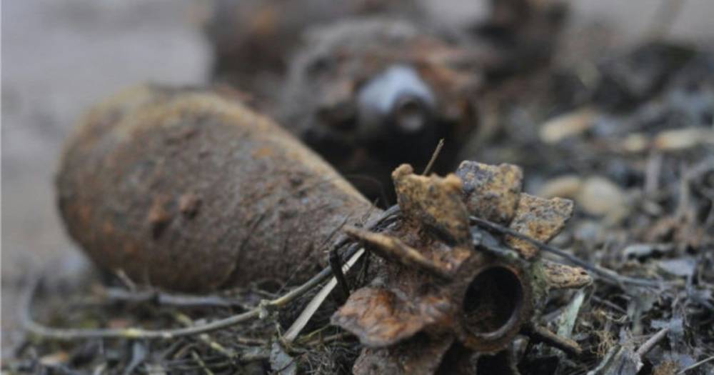 В Балтийском районе в лесу нашли больше 60 взрывоопасных предметов