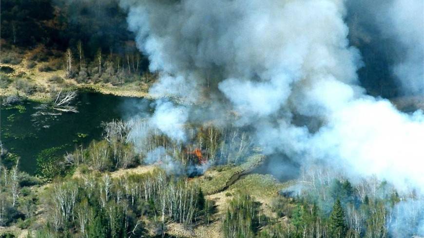 Из-за лесных пожаров на Камчатке задымлены четыре населенных пункта