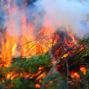 В Якутии бушуют лесные пожары: их площадь продолжает расти