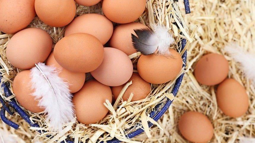 Минпромторг разберется с жалобой о занижении закупочных цен на яйца