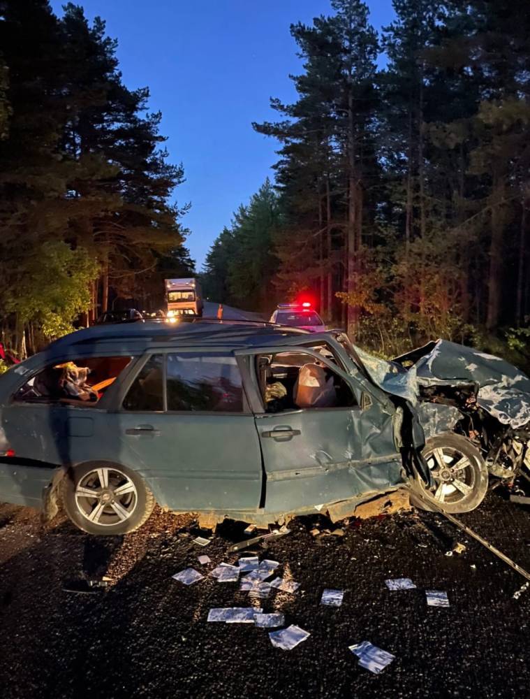 Всмятку: серьезная авария с погибшим произошла на Приморском шоссе — фото и видео