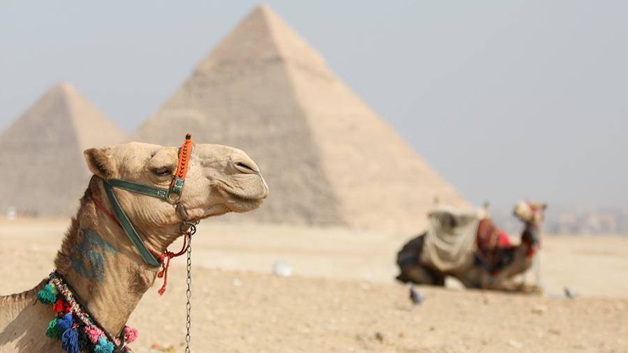«Аэрофлот» заявил о возможном открытии рейсов в Египет в ближайшие дни