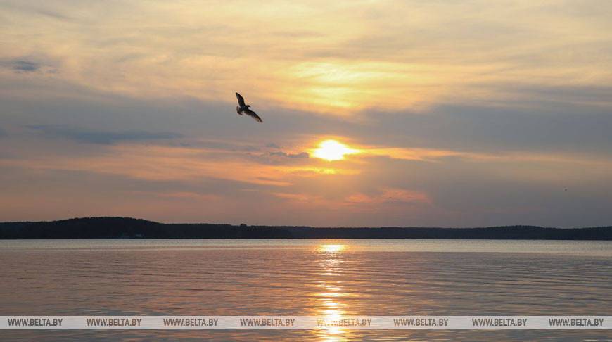 Благотворительный заплыв в помощь больным детям пройдет 4 июля на Минском море